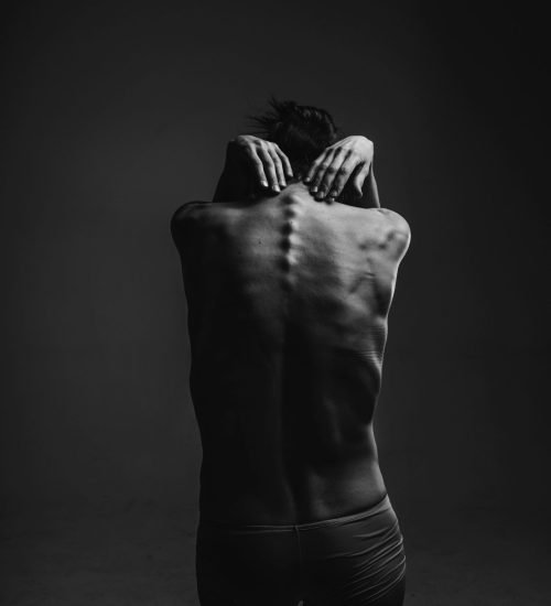 spine