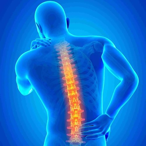 upper and lower back pain